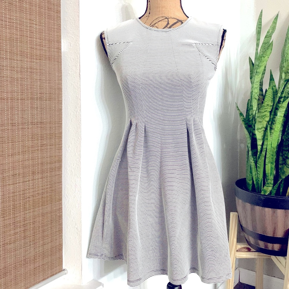 Xtraordinary Black & White Micro Stripe Flare Dress